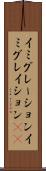 イミグレーション Scroll
