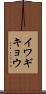 イワギキョウ Scroll