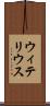 ウィテリウス Scroll