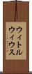 ウィトルウィウス Scroll