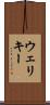 ウェリキー Scroll