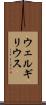 ウェルギリウス Scroll