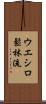 Ueshiro Shorin-Ryu / Ueshiro Matsubayashi-Ryu Scroll