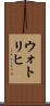 ウォトリヒ Scroll