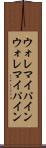 ウォレマイパイン Scroll