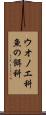 ウオノエ科 Scroll