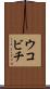 ウコビチ Scroll