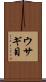 ウサギ目 Scroll