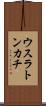 ウスラトンカチ Scroll