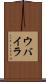 ウバイラ Scroll