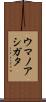 ウマノアシガタ Scroll