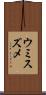 ウミスズメ Scroll