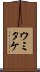 ウミタケ Scroll