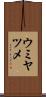 ウミヤツメ Scroll