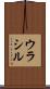 ウラシル Scroll