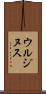 ウルジヌス Scroll