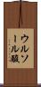 ウルソール酸 Scroll