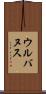ウルバヌス Scroll