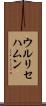 ウルリセハムン Scroll