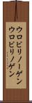 ウロビリノーゲン Scroll