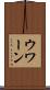 ウワーン Scroll