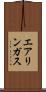 エアリンガス Scroll