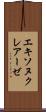 エキソヌクレアーゼ Scroll