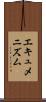 エキュメニズム Scroll