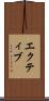 エクティブ Scroll