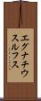 エグナチウスルフス Scroll