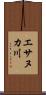 エサヌカ川 Scroll