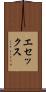 エセックス Scroll