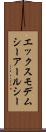 エックスモデムシーアールシー Scroll