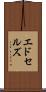 エドセルズ Scroll