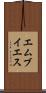 エムブイエス Scroll