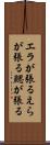 エラが張る Scroll