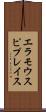 エラモウスピプレイス Scroll