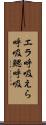 エラ呼吸 Scroll