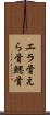 エラ骨 Scroll