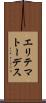 エリテマトーデス Scroll