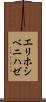エリホシベニハゼ Scroll