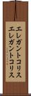 エレガントコリス Scroll