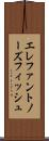 エレファントノーズフィッシュ Scroll