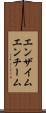 エンザイム Scroll