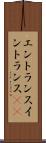 エントランス Scroll