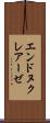 エンドヌクレアーゼ Scroll