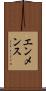 エンメンス Scroll