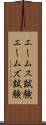 エームス試験 Scroll
