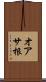 オアサ根 Scroll