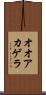 オオアカゲラ Scroll